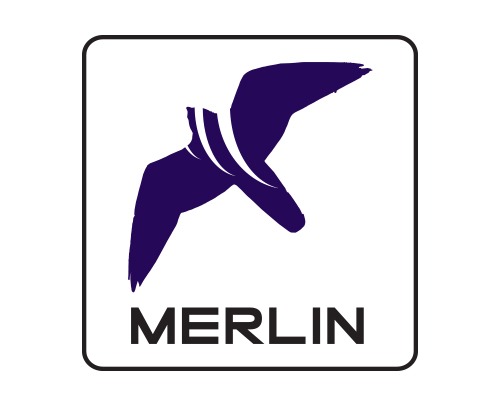 MERLIN Radar Systems Logo