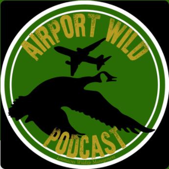 Airport Wild Podcast Logo