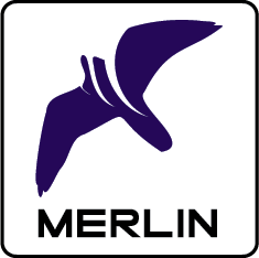 MERLIN logo DeTect, Inc